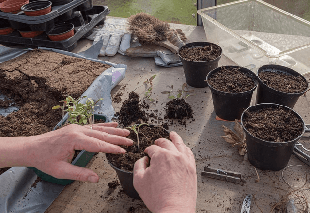 Terreau horticole en VRAC (au m³) 